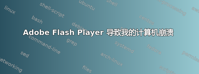 Adobe Flash Player 导致我的计算机崩溃