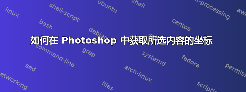 如何在 Photoshop 中获取所选内容的坐标