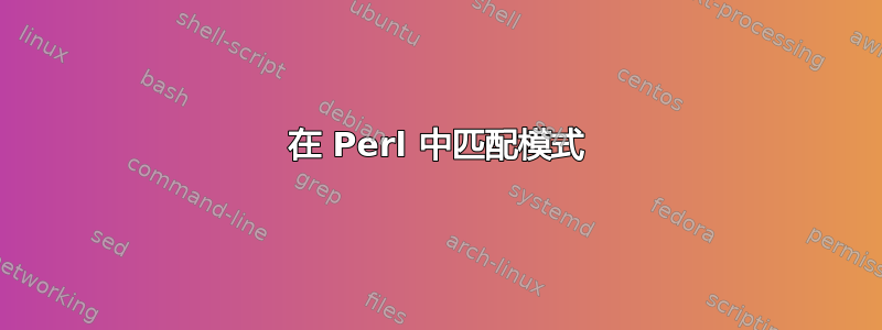 在 Perl 中匹配模式