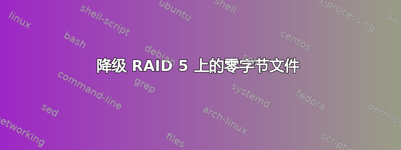 降级 RAID 5 上的零字节文件