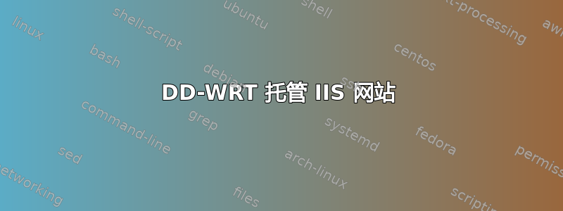 DD-WRT 托管 IIS 网站