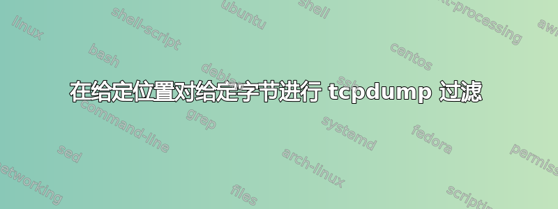 在给定位置对给定字节进行 tcpdump 过滤