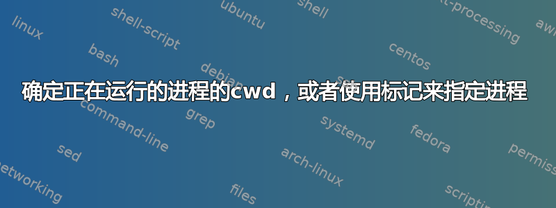 确定正在运行的进程的cwd，或者使用标记来指定进程