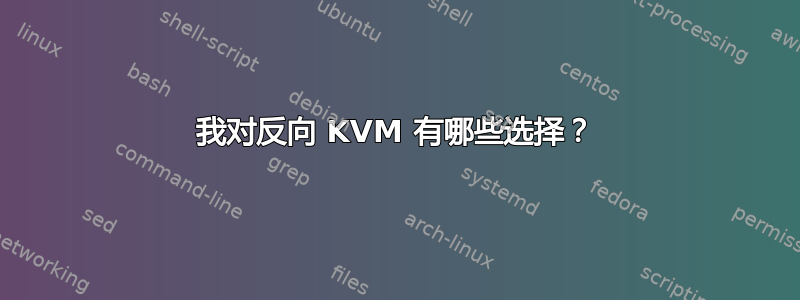 我对反向 KVM 有哪些选择？