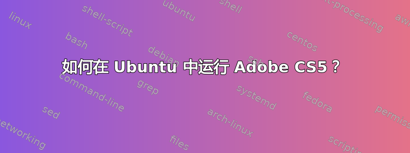 如何在 Ubuntu 中运行 Adob​​e CS5？