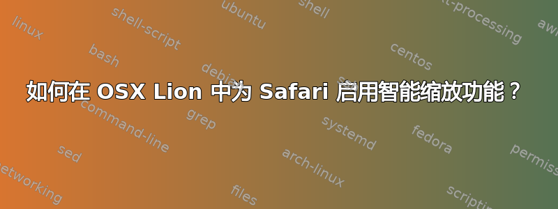 如何在 OSX Lion 中为 Safari 启用智能缩放功能？