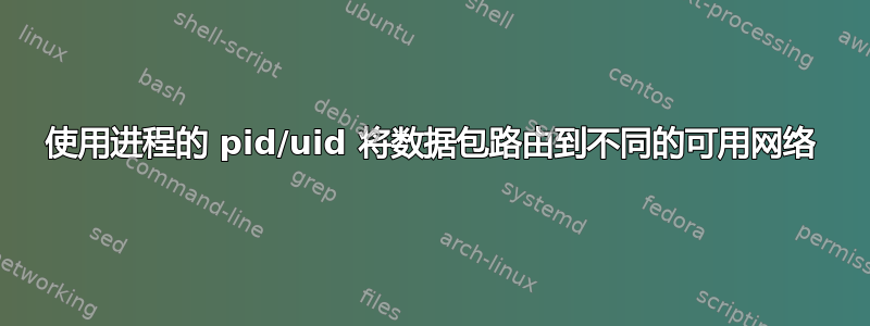 使用进程的 pid/uid 将数据包路由到不同的可用网络