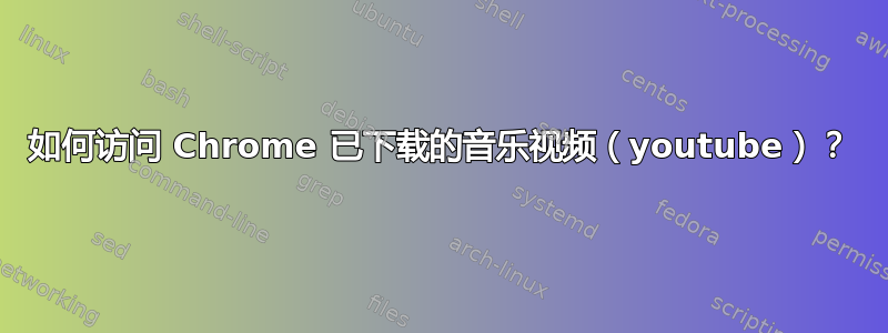 如何访问 Chrome 已下载的音乐视频（youtube）？