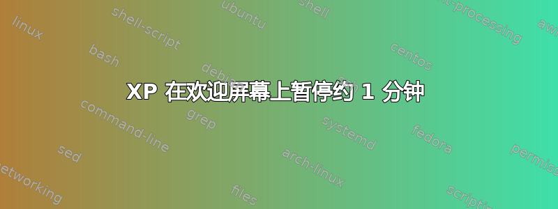 XP 在欢迎屏幕上暂停约 1 分钟