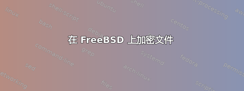 在 FreeBSD 上加密文件