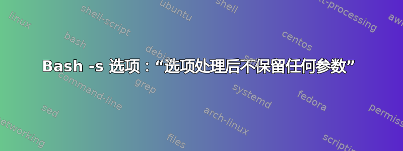 Bash -s 选项：“选项处理后不保留任何参数”