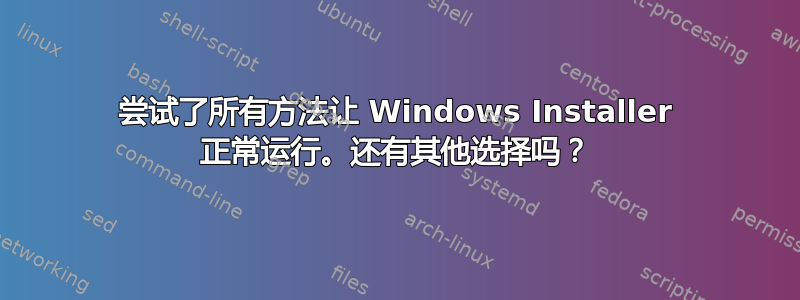 尝试了所有方法让 Windows Installer 正常运行。还有其他选择吗？