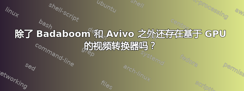 除了 Badaboom 和 Avivo 之外还存在基于 GPU 的视频转换器吗？