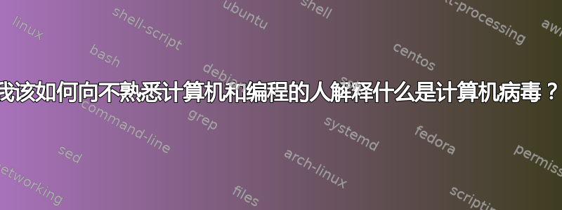 我该如何向不熟悉计算机和编程的人解释什么是计算机病毒？