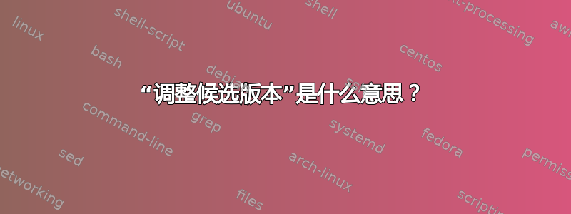 “调整候选版本”是什么意思？