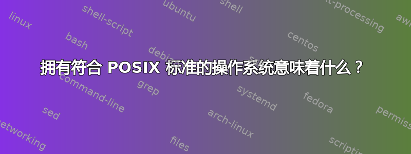 拥有符合 POSIX 标准的操作系统意味着什么？