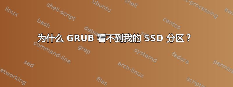 为什么 GRUB 看不到我的 SSD 分区？