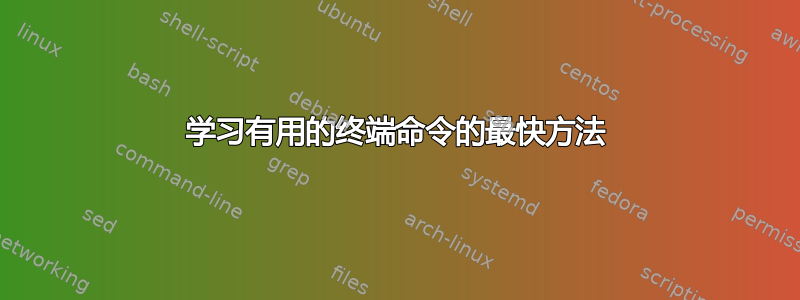 学习有用的终端命令的最快方法