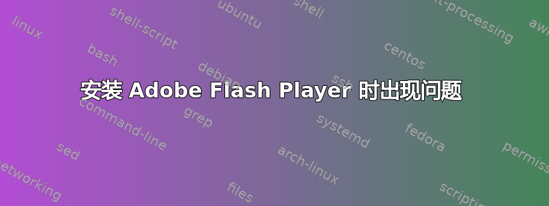 安装 Adob​​e Flash Player 时出现问题