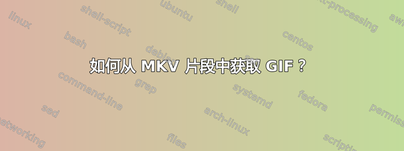 如何从 MKV 片段中获取 GIF？