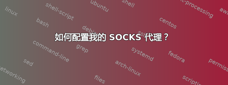 如何配置我的 SOCKS 代理？