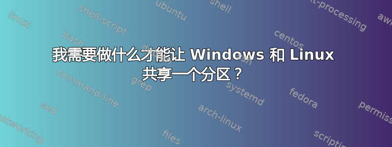 我需要做什么才能让 Windows 和 Linux 共享一个分区？