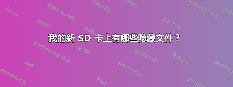 我的新 SD 卡上有哪些隐藏文件？