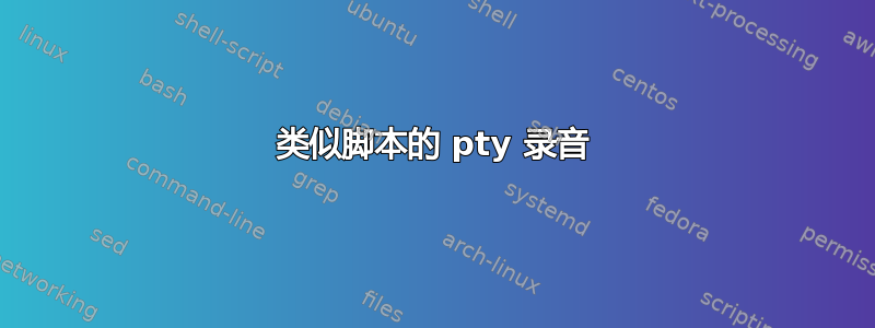 类似脚本的 pty 录音