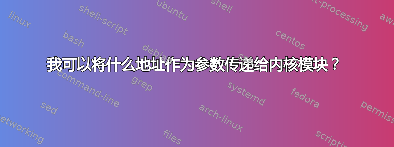 我可以将什么地址作为参数传递给内核模块？