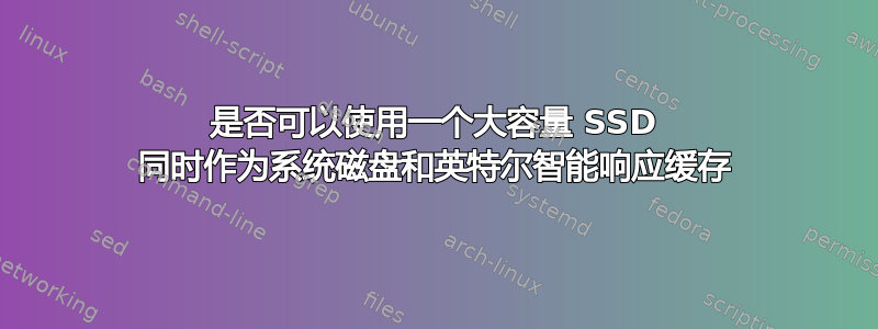 是否可以使用一个大容量 SSD 同时作为系统磁盘和英特尔智能响应缓存