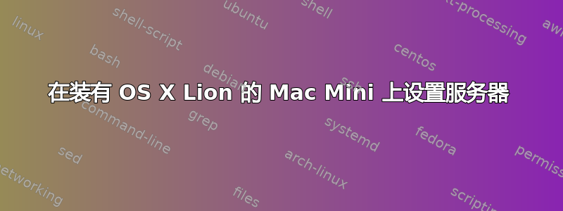 在装有 OS X Lion 的 Mac Mini 上设置服务器