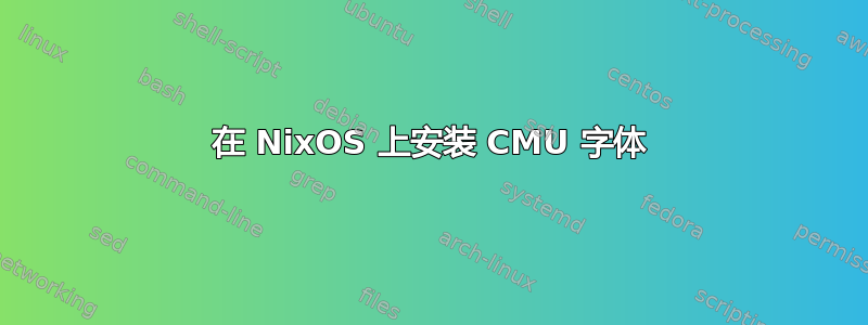 在 NixOS 上安装 CMU 字体