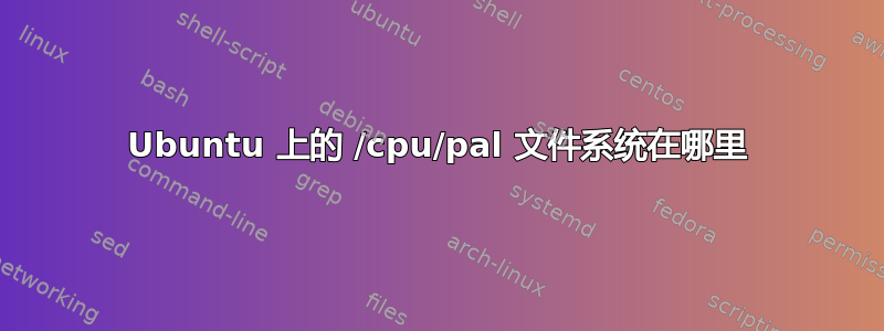 Ubuntu 上的 /cpu/pal 文件系统在哪里