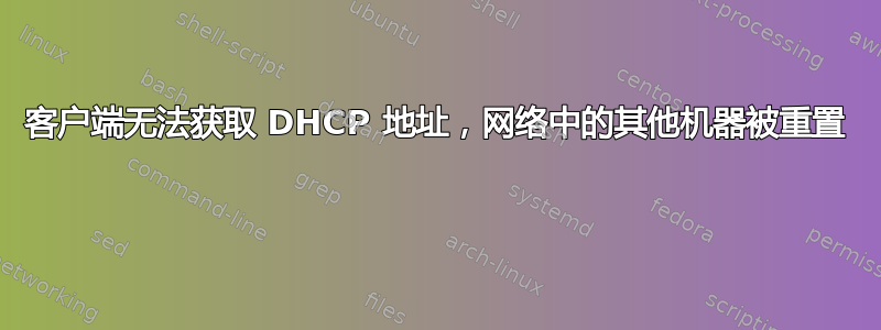 客户端无法获取 DHCP 地址，网络中的其他机器被重置 