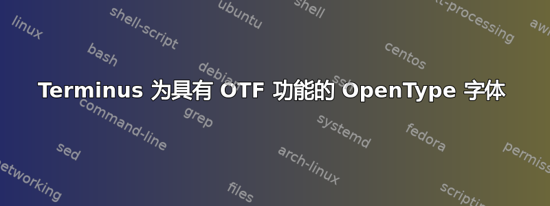 Terminus 为具有 OTF 功能的 OpenType 字体