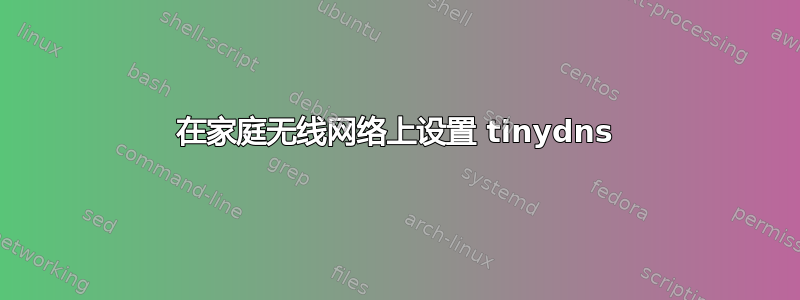 在家庭无线网络上设置 tinydns