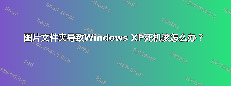 图片文件夹导致Windows XP死机该怎么办？