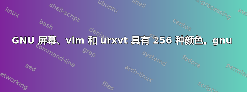 GNU 屏幕、vim 和 urxvt 具有 256 种颜色。gnu