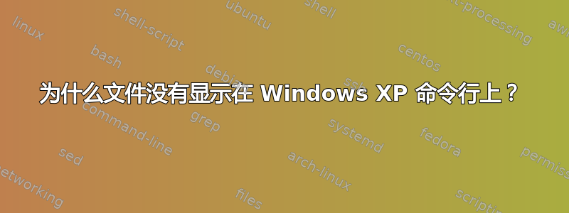 为什么文件没有显示在 Windows XP 命令行上？