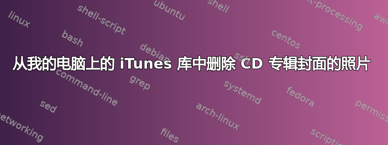 从我的电脑上的 iTunes 库中删除 CD 专辑封面的照片