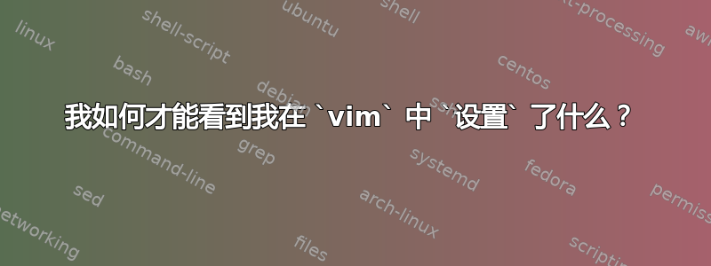 我如何才能看到我在 `vim` 中 `设置` 了什么？