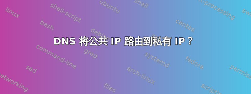 DNS 将公共 IP 路由到私有 IP？