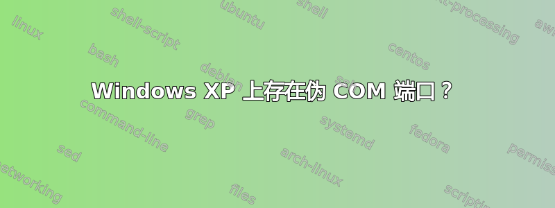 Windows XP 上存在伪 COM 端口？