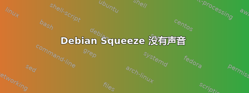 Debian Squeeze 没有声音