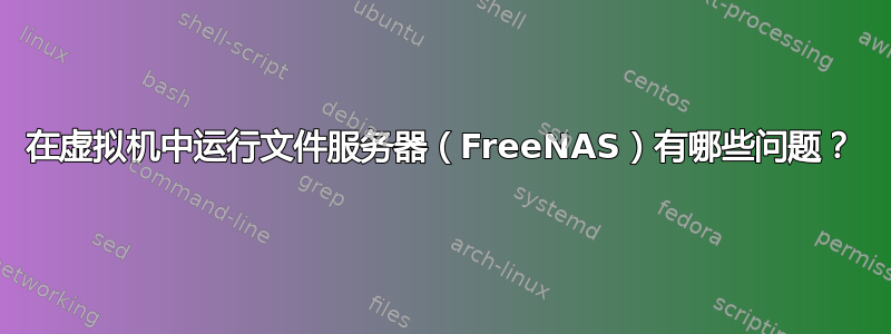 在虚拟机中运行文件服务器（FreeNAS）有哪些问题？