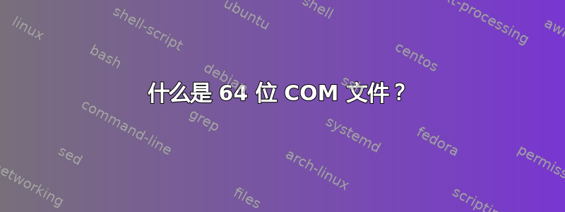 什么是 64 位 COM 文件？