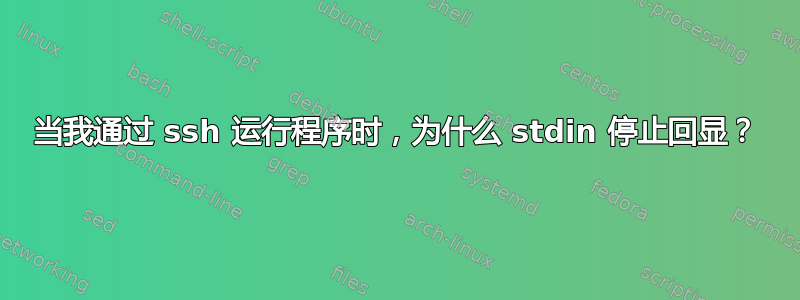 当我通过 ssh 运行程序时，为什么 stdin 停止回显？