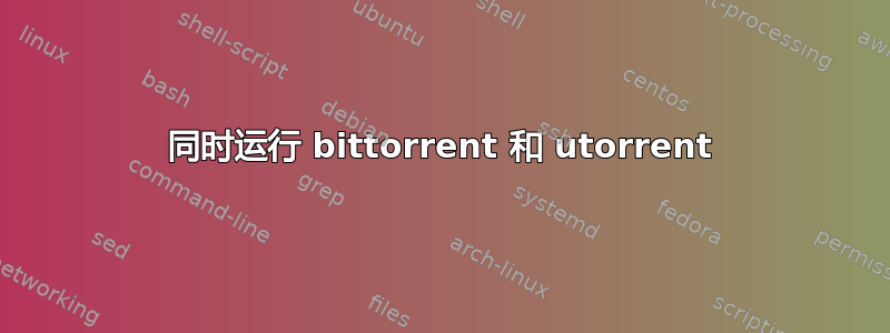 同时运行 bittorrent 和 utorrent