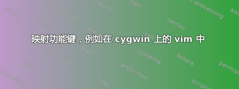 映射功能键，例如在 cygwin 上的 vim 中