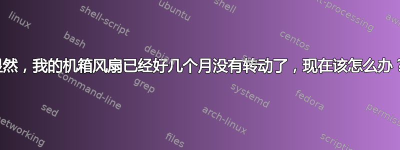 显然，我的机箱风扇已经好几个月没有转动了，现在该怎么办？